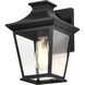 Jasper 11 inch Matte Black Outdoor Wall Lantern, Small