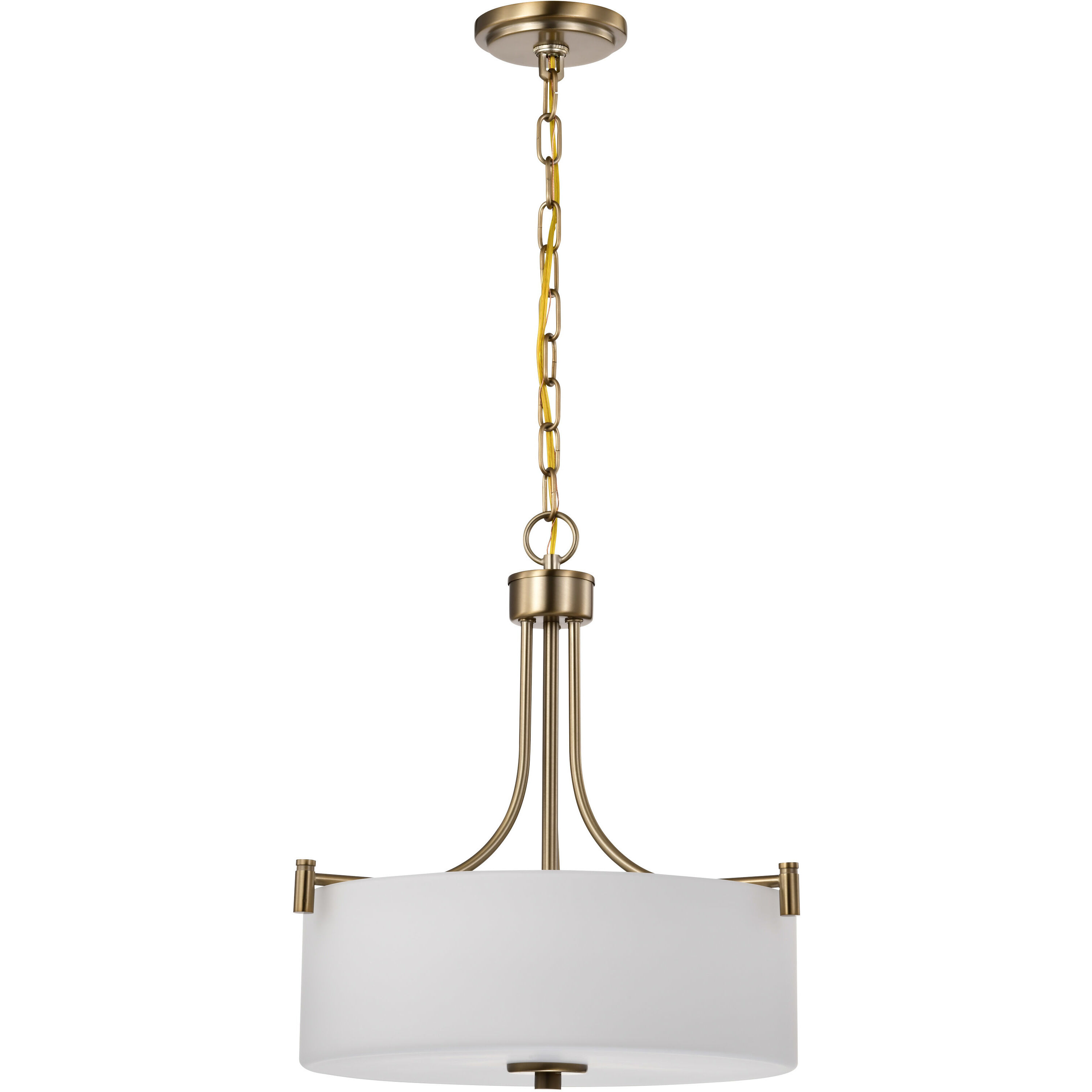 Liam 15.88 inch Burnished Brass Pendant Ceiling Light