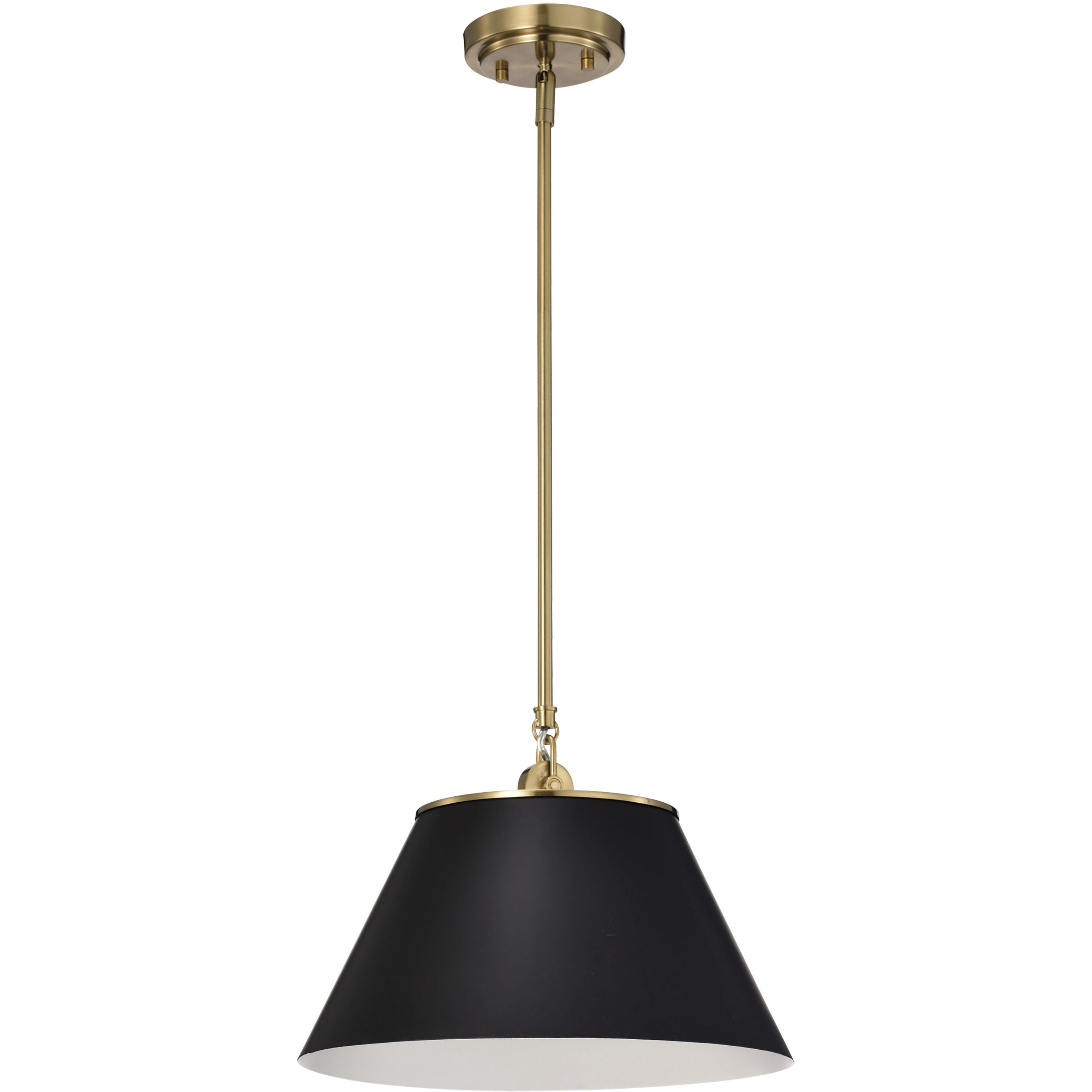 Nuvo 60 7411 Dover 1 Light 14 inch Black Vintage Brass Pendant