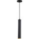 Century LED 2.56 inch Matte Black and Brushed Brass Pendant Ceiling Light