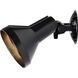 Brentwood 2 Light 5 inch Black Outdoor Flood Light