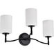 Liam 22 inch Matte Black Vanity Wall Light