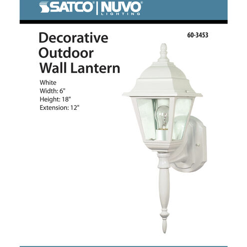 Briton 1 Light 18 inch White Outdoor Wall Lantern