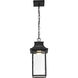 Austen LED Matte Black Outdoor Hanging Fixture