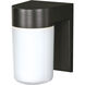 Brentwood 1 Light 8 inch Black Outdoor Wall Mount