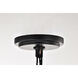 Liam 4.13 inch Matte Black Pendant Ceiling Light