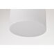 Warren 8 inch Gun Metal Pendant Ceiling Light