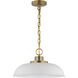 Colony 1 Light 15 inch Matte White/Burnished Brass Pendant Ceiling Light