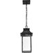 Austen LED Matte Black Outdoor Hanging Fixture