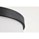 Roselle 14.38 inch Matte Black Flush Mount Ceiling Light