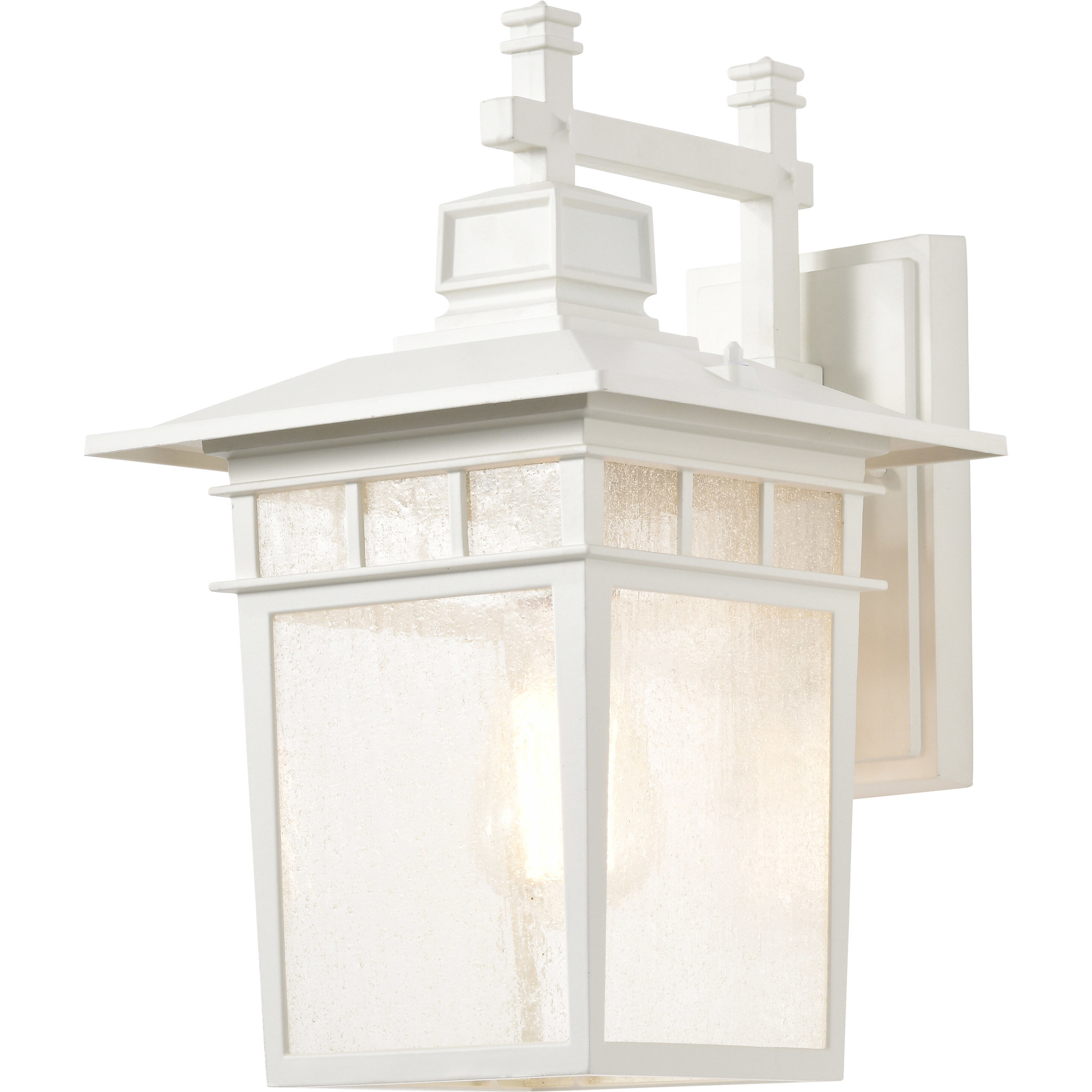Cove Neck 1 Light 14 inch White and Clear Seeded Outdoor Wall Light