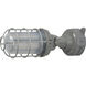 Brentwood LED 12 inch Gray Outdoor Wall Light