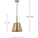 Alexis 1 Light 11 inch Burnished Brass and Gold Pendant Ceiling Light