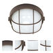Brentwood 1 Light 8 inch Architectural Bronze Outdoor Bulk Head, Round Cage