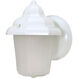 Brentwood 1 Light 9 inch White Outdoor Wall Lantern