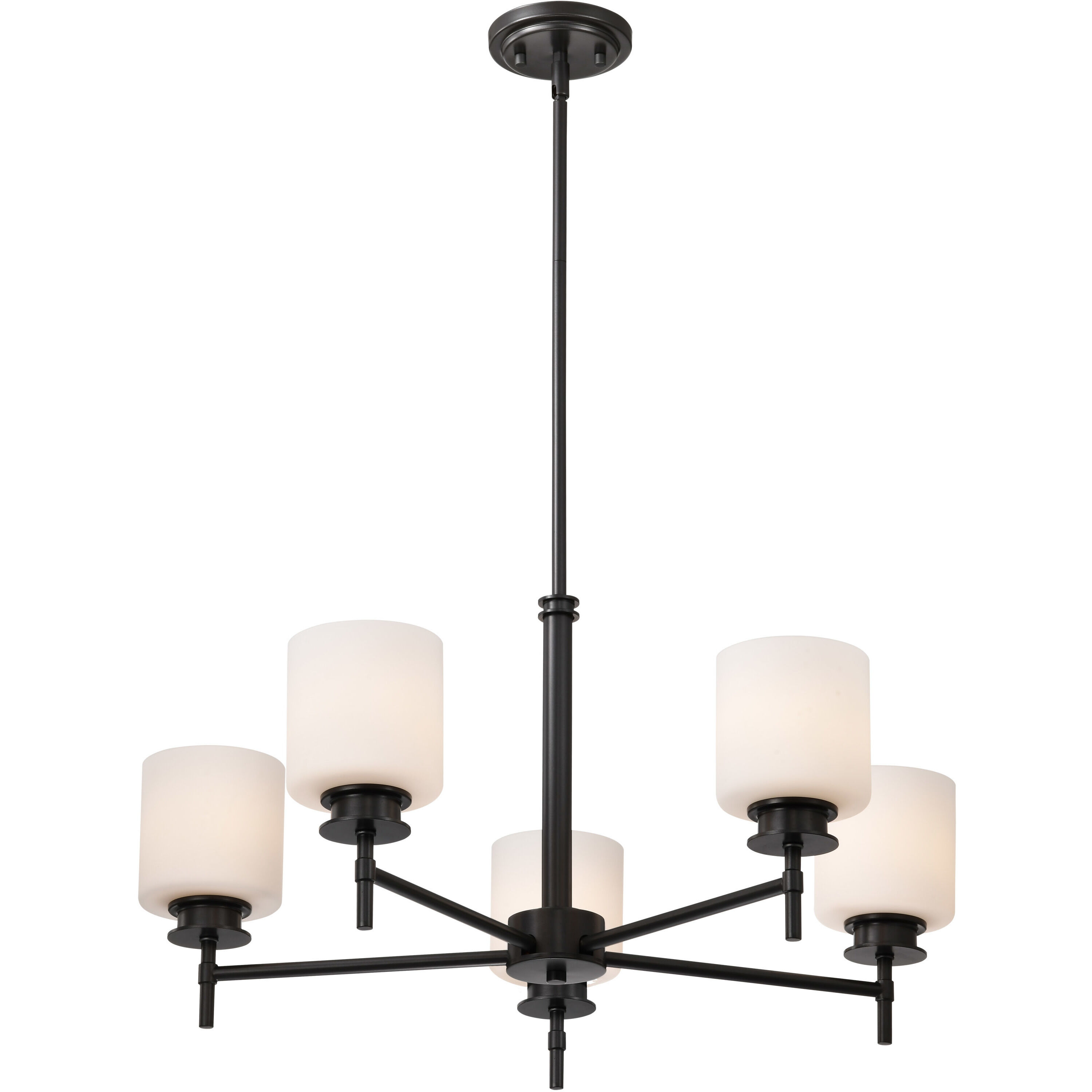 Warren 5 Light 28 inch Gun Metal Chandelier Ceiling Light