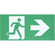 Running Man LED 19.74 inch Brushed Aluminum Exit & Emergency Ceiling Light