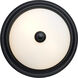 Brentwood 2 Light 11.38 inch Matte Black Flush Mount Ceiling Light