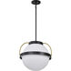 Lakeshore 1 Light 13 inch Matte Black Pendant Ceiling Light