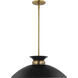 Perkins 1 Light 19.63 inch Matte Black/Burnished Brass Pendant Ceiling Light
