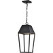 Colt LED 9.5 inch Matte Black Outdoor Hanging Light