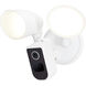 Starfish Outdoor Security Light