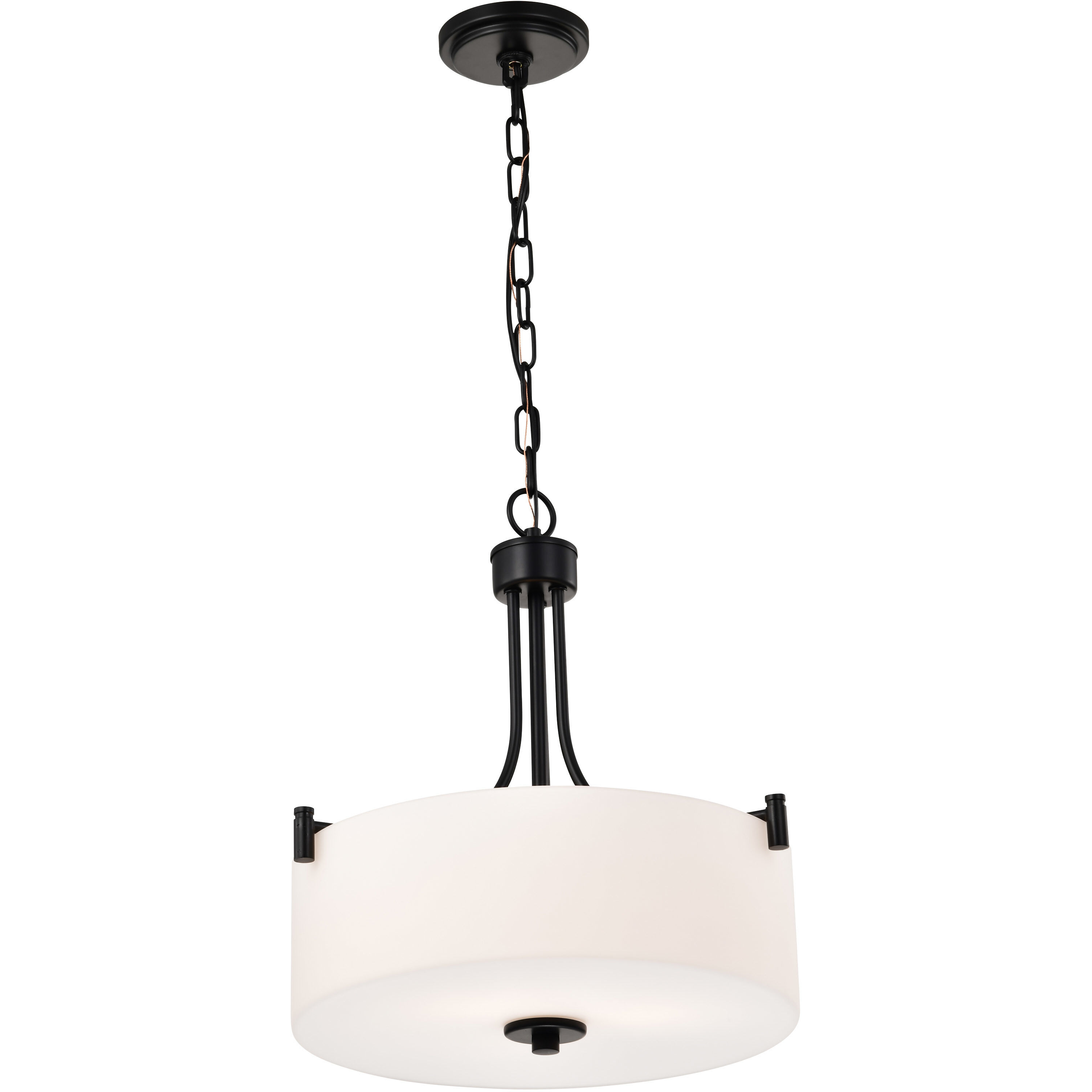 Liam 15.88 inch Matte Black Pendant Ceiling Light