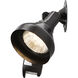 Brentwood 2 Light 5 inch Bronze Outdoor Flood Light