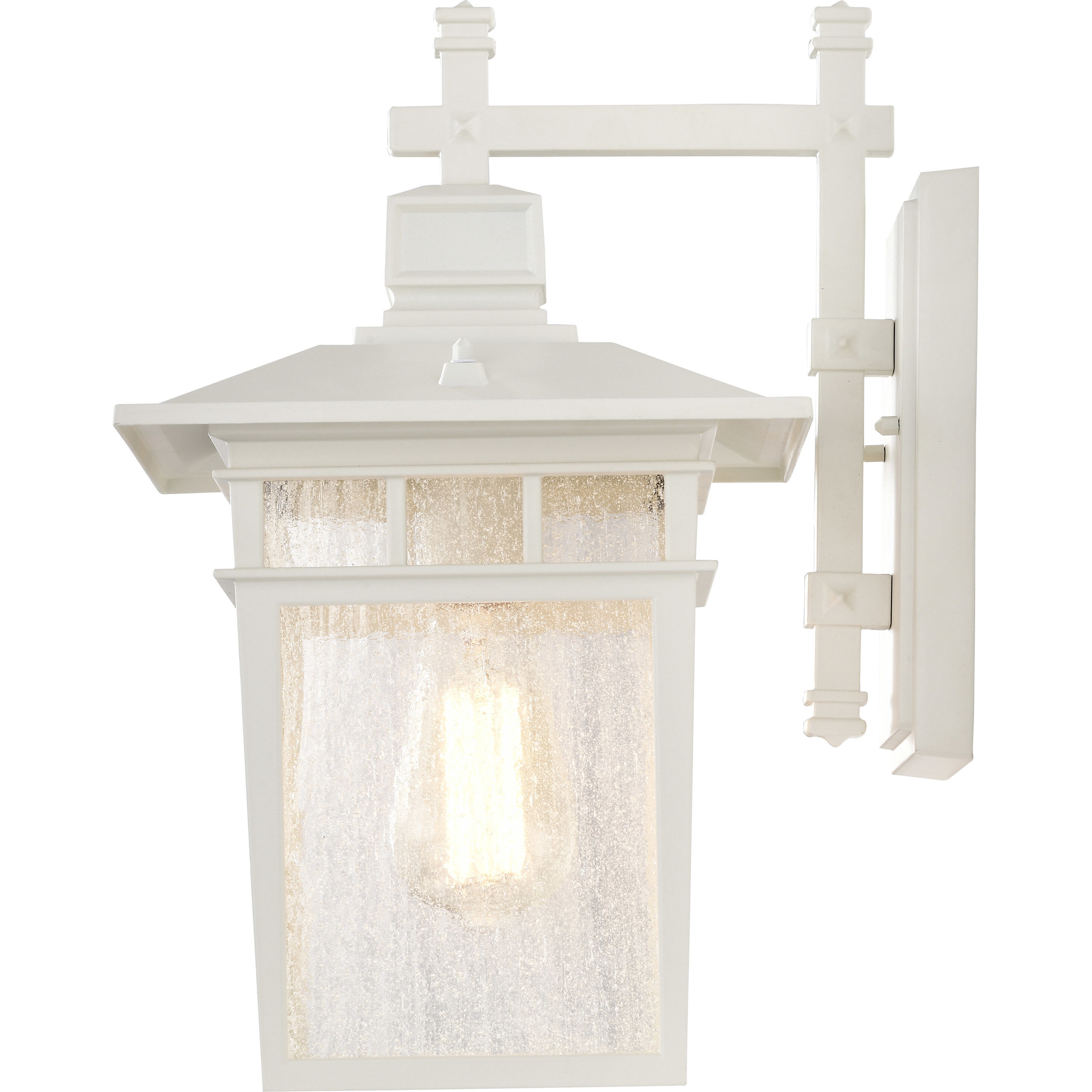 Cove Neck 1 Light 14 inch White and Clear Seeded Outdoor Wall Light