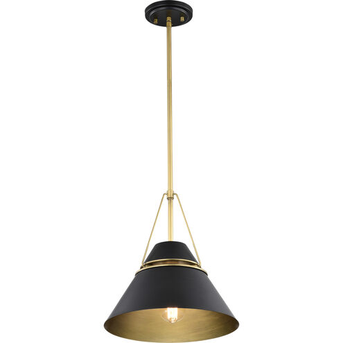 Adina 1 Light 12.75 inch Matte Black Pendant Ceiling Light