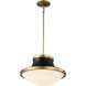 Lafayette 1 Light 18 inch Matte Black Pendant Ceiling Light