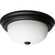 Brentwood 2 Light 13.25 inch Matte Black Flush Mount Ceiling Light