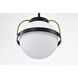 Lakeshore 1 Light 10 inch Matte Black Pendant Ceiling Light