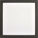 Blink LED 9 inch Bronze Edge Lit Ceiling Light